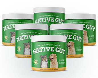 Product Image of 6 Bottles